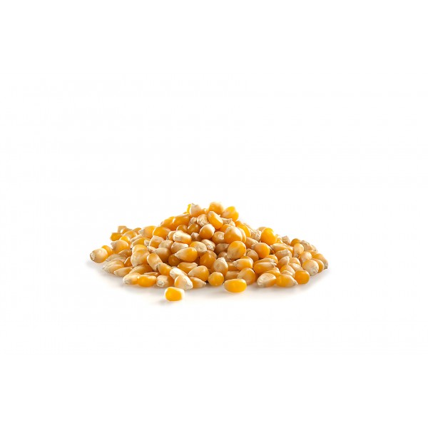 raw - dried nuts - POP CORN SEEDS RAW NUTS